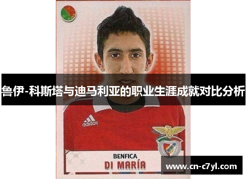 鲁伊-科斯塔与迪马利亚的职业生涯成就对比分析