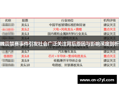 魏震禁赛事件引发社会广泛关注背后原因与影响深度剖析